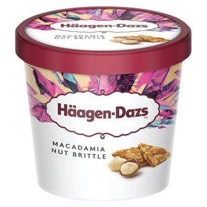 Häagen-Dazs Ice Cream Macadamia Nut Brittle 100Ml
