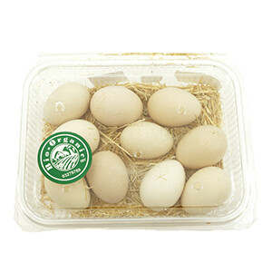 Bio Organic Eggs