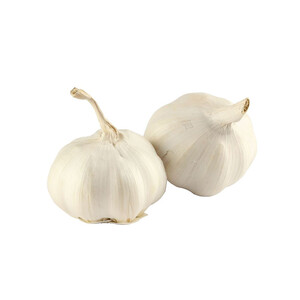 Garlic Extra