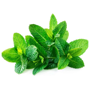 Mint - نعنع