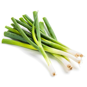 Green Onion - بصل أخضر