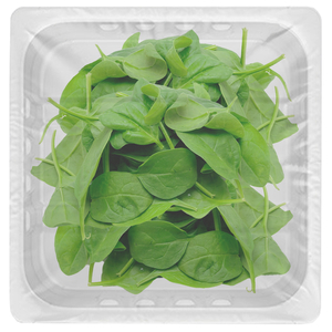Baby Spinach - بايبي سبانغ