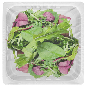 Mesclun - مسكلان