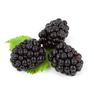 Blackberry - بلاك بري