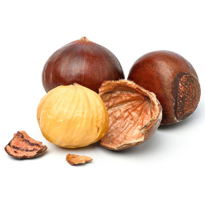 Chestnut Local - كستنة بلدية