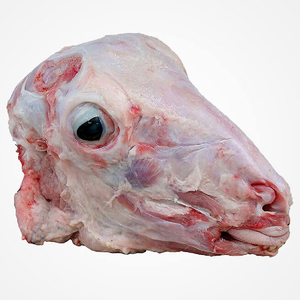 Head Of Sheep - راس غنم