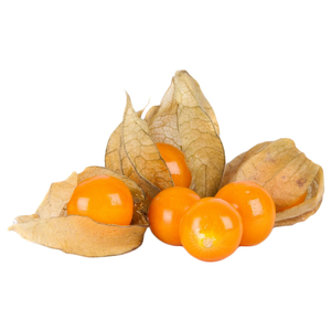 Gooseberry (Physalis) Columbia Pack