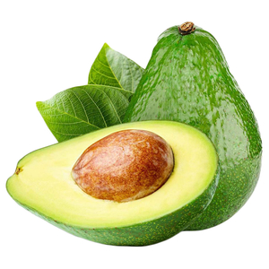 Avocado Fuerte Kenya