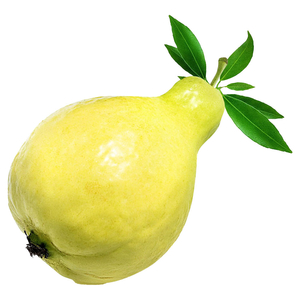 Guava Egypt