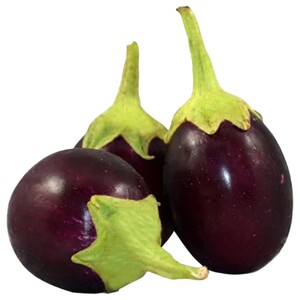 Eggplant Baby Oman