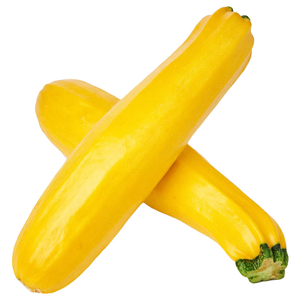 Zucchini Yellow Netherland