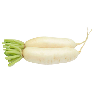 Radish White China