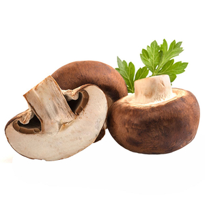 Mushroom Brown 250G