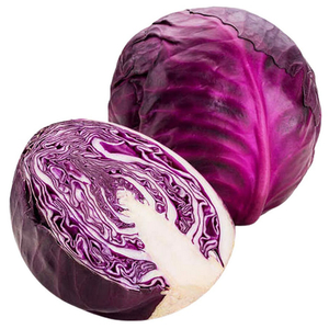 Cabbage Red Uae