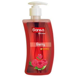 Sanita Liquid Hand Wash Berry 250Ml