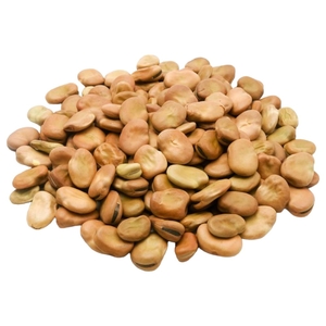Foul Bajella Peru