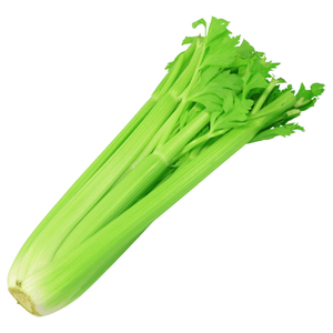 Celery Stick Iran