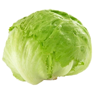 Lettuce Iceberg Iran