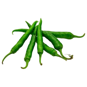 Chili Green India