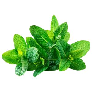Mint Lebanon