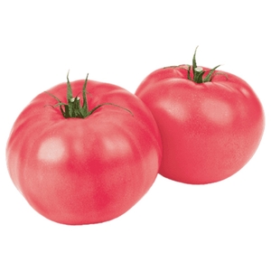 Tomato Pink Lebanon