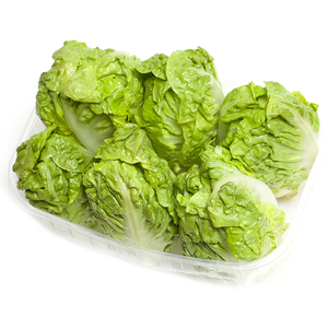 Lettuce Sucrine Little Gem Pack Of 6