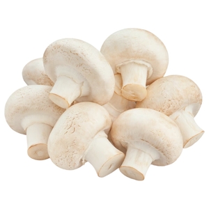 Mushroom White 250G