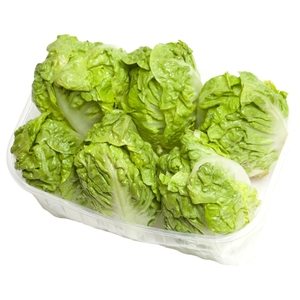 Lettuce Gem Spain Pack