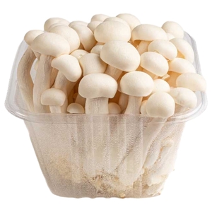 Mushroom Shimeji White China Pack