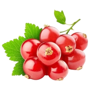 Red Currant 125G