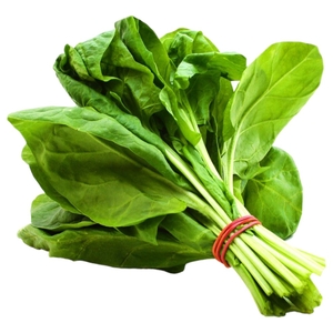 Spinach Lebanon