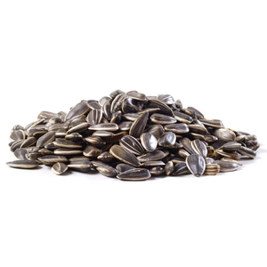 Roasted Sunflower Seeds