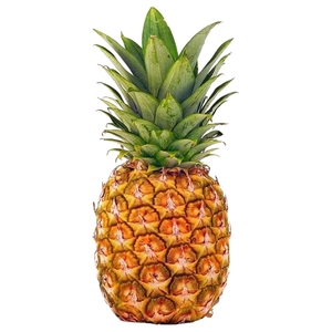 Pineapple Honey Gold