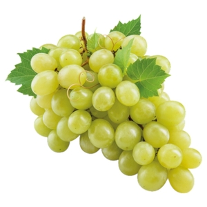 Grapes White Egypt
