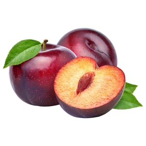 Plums Red Iran