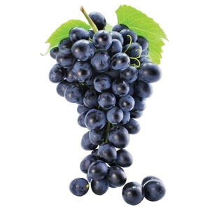 Grapes Black Egypt