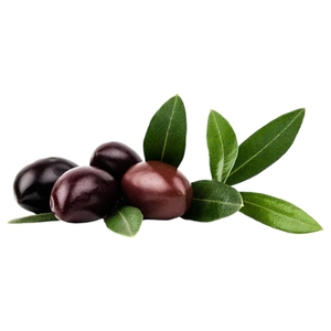 Black Olives Lebanese