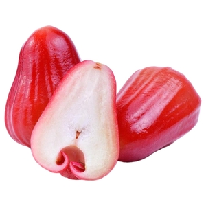 Rose Apple Red Vietnam