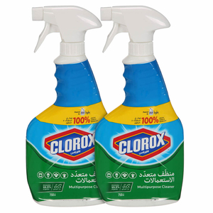 Clorox Multipurpose Cleaner 750Ml X 2
