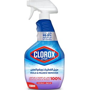 Clorox Mildew & Mold Stain Remover Spray With Bleach, 750 Ml, Kills 99.9% Of Germs, 100% Of Fungus & Mold Stains