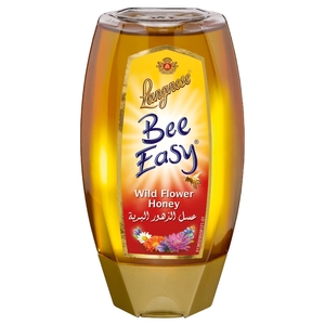 Langnese Bee Easy Wild Flower Honey 500G