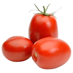 Tomato Roma Netherland