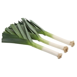 Leeks Netherland