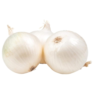 Onion White Spain