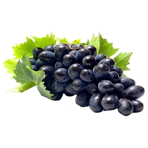 Grapes Black Lebanon
