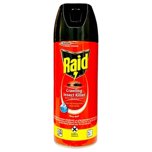 Raid Insect Killer 300Ml