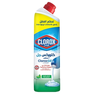 Clorox Gel Thick Bleach And Cleaner Mint Freshness 750Ml
