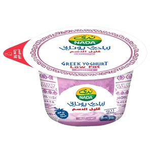 Nada Greek Yoghurt Blueberry Low Fat 160G