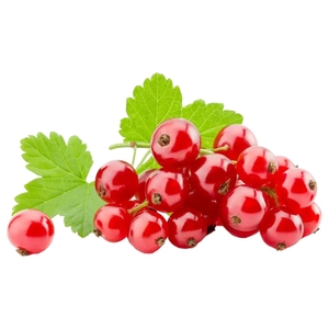 Red Currant Imported 125G