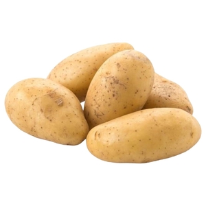 Potato Syria